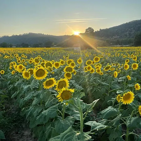 شقة Coeur De Provence